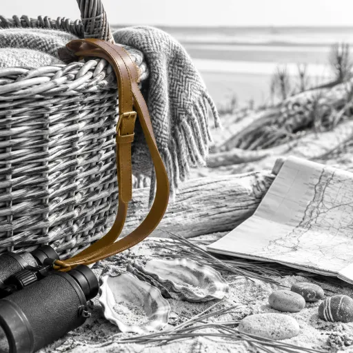 Beyond the Beach in September: Family Days Out When Aquitaine's Coast Calms Down